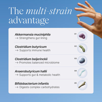 Pendulum Metabolic Daily – Multi-Strain Probiotic with Akkermansia muciniphila | Metabolism & Energy | 90 Capsules