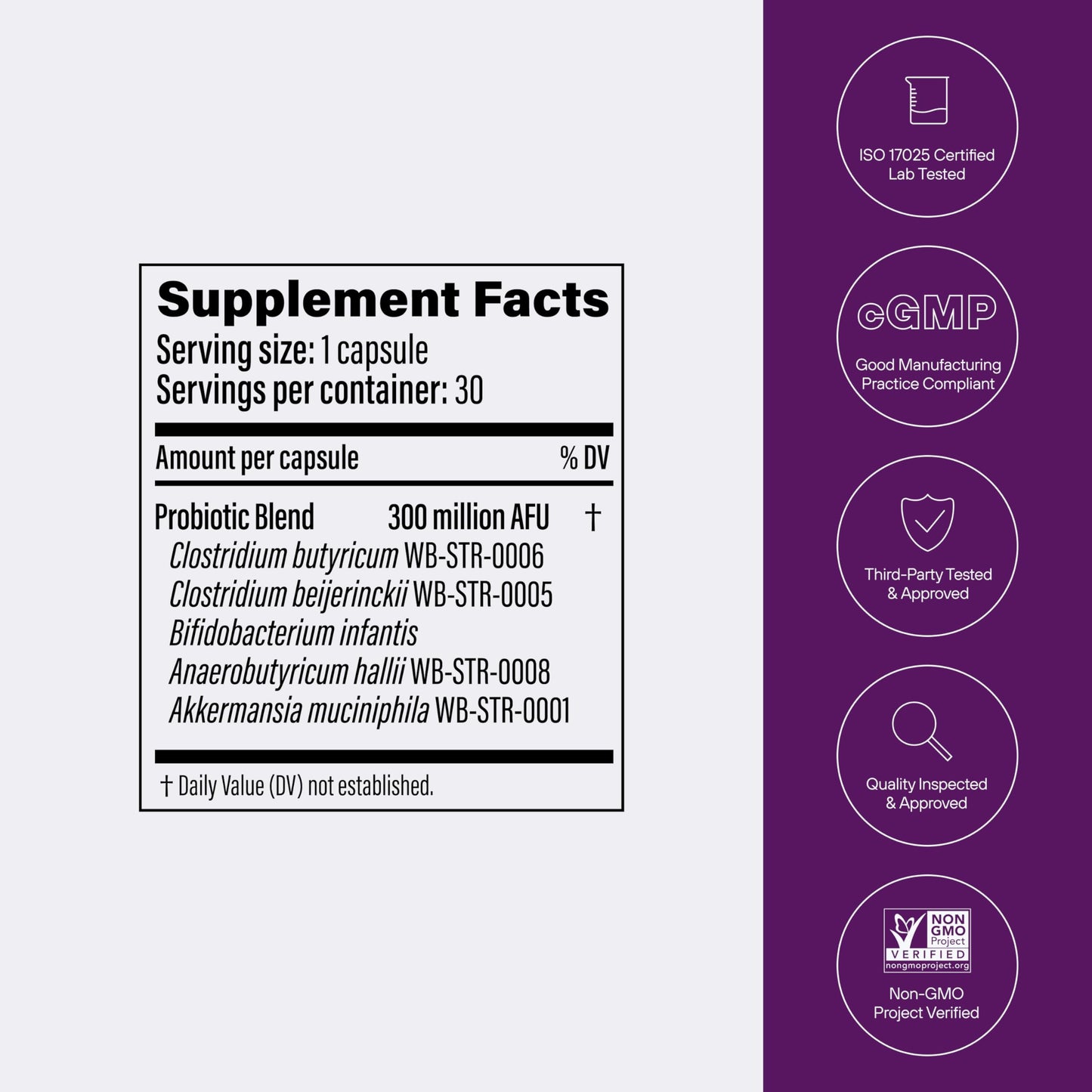Pendulum Metabolic Daily – Multi-Strain Probiotic with Akkermansia muciniphila | Metabolism & Energy | 90 Capsules