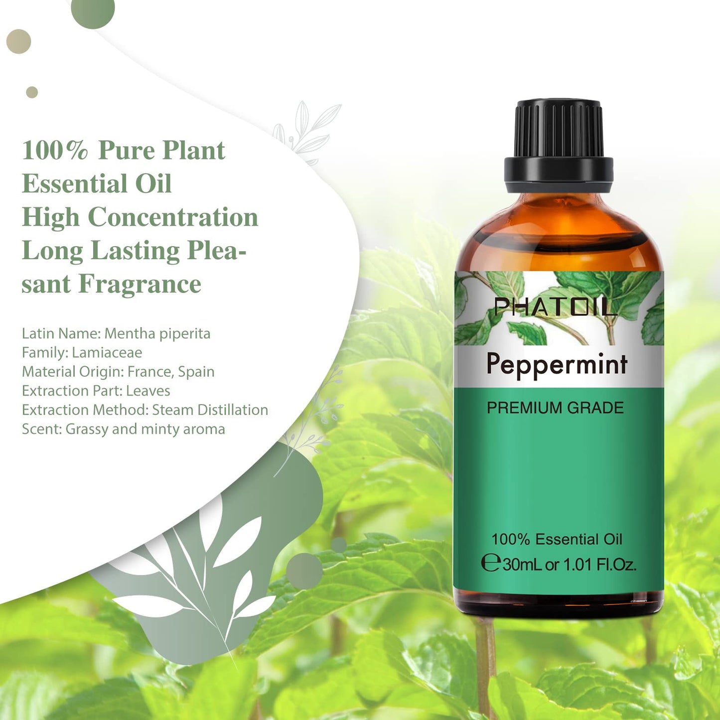 Peppermint Essential Oil 30ml | PHATOIL Pure Essential Oil Singles for Aromatherapy & DIY Crafts