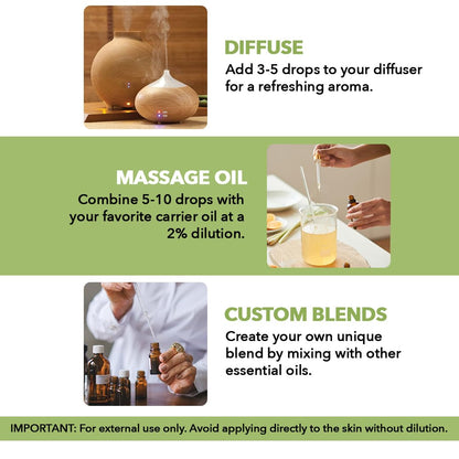 Majestic Pure Peppermint Essential Oil 3.4 Fl Oz - 100% Pure & Natural with Glass Dropper