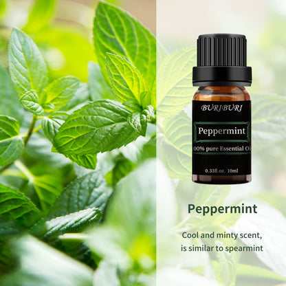 BURIBURI Peppermint Essential Oil — 100% Pure, 10ml | Organic Aromatherapy