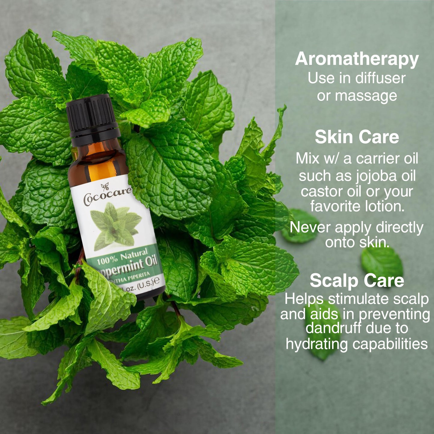 Cococare 100 Percent Peppermint Oil - Essential Oil for Aromatherapy - 1 Fl Oz