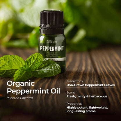 Gya Labs Organic Peppermint Essential Oil - 0.34 fl oz | Diffuser, Skin, Hair, Aromatherapy