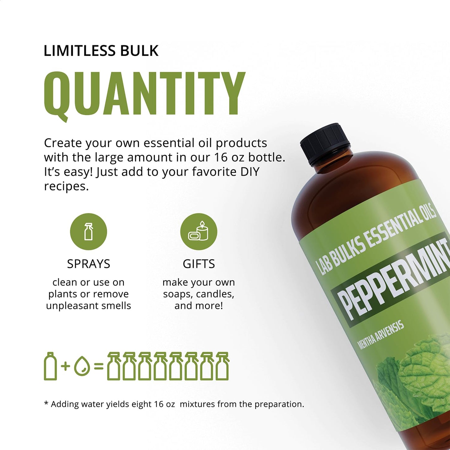 Lab Bulks Peppermint Essential Oil 16oz 2-Pack – Diffusers & Cleaning