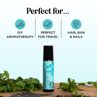 Peppermint Oil Roll On – Pure Peppermint Rollerball Essential Oil for Headaches, Focus & Energy | Maple Holistics