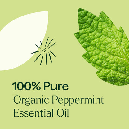 Plant Therapy Organic Peppermint Essential Oil 30 mL - 100% Pure, USDA Organic