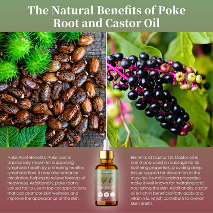 Peralpow Organic Poke Root Oil - Lymphatic Support & Deep Tissue Relief