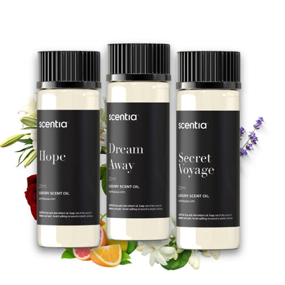 Perfume-Inspired Essential Oil Set – 3×20ml Diffuser Oils