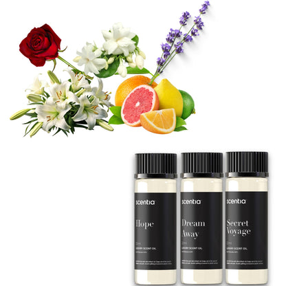 Perfume-Inspired Essential Oil Set – 3×20ml Diffuser Oils