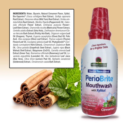 Nature's Answer PerioBrite Cinamint Mouthwash – Fluoride-Free, Alcohol-Free, 16oz