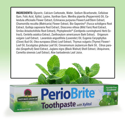Nature's Answer PerioBrite Natural Toothpaste - Cool Mint, 4 oz (2 Pack) Fluoride Free