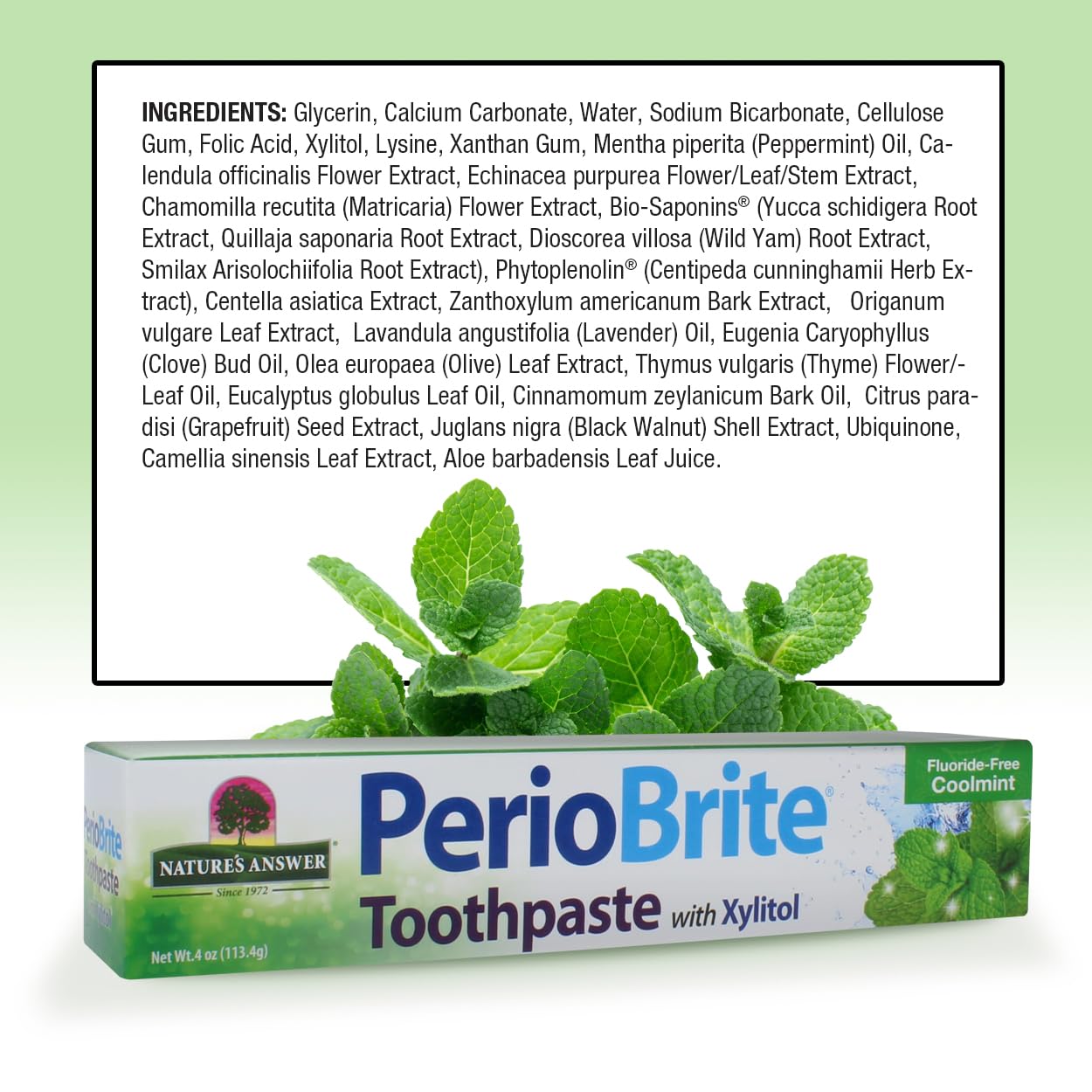 Nature's Answer PerioBrite Toothpaste Cool Mint Pack of 6 – For Sensitive Teeth | Whitens Teeth & Freshens Breath