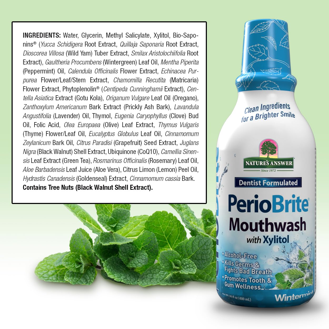 Nature's Answer PerioBrite Wintermint Mouthwash - Fluoride-Free, 16oz (2 Pack)