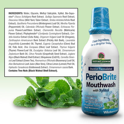 Nature's Answer PerioBrite Wintermint Mouthwash - Fluoride-Free, 16oz (2 Pack)