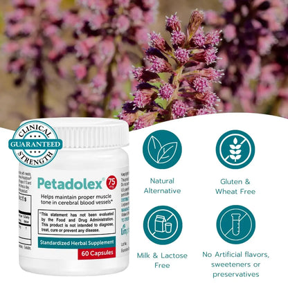 Petadolex Migraine Relief Capsules – PA-Free Butterbur 75 mg for Migraine Prevention BritishVita | Premium UK Vitamins & Wellness Supplements