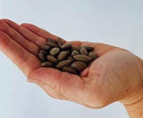 Peter's Choice Kidney Rejuvenator - Kidney Support Supplement