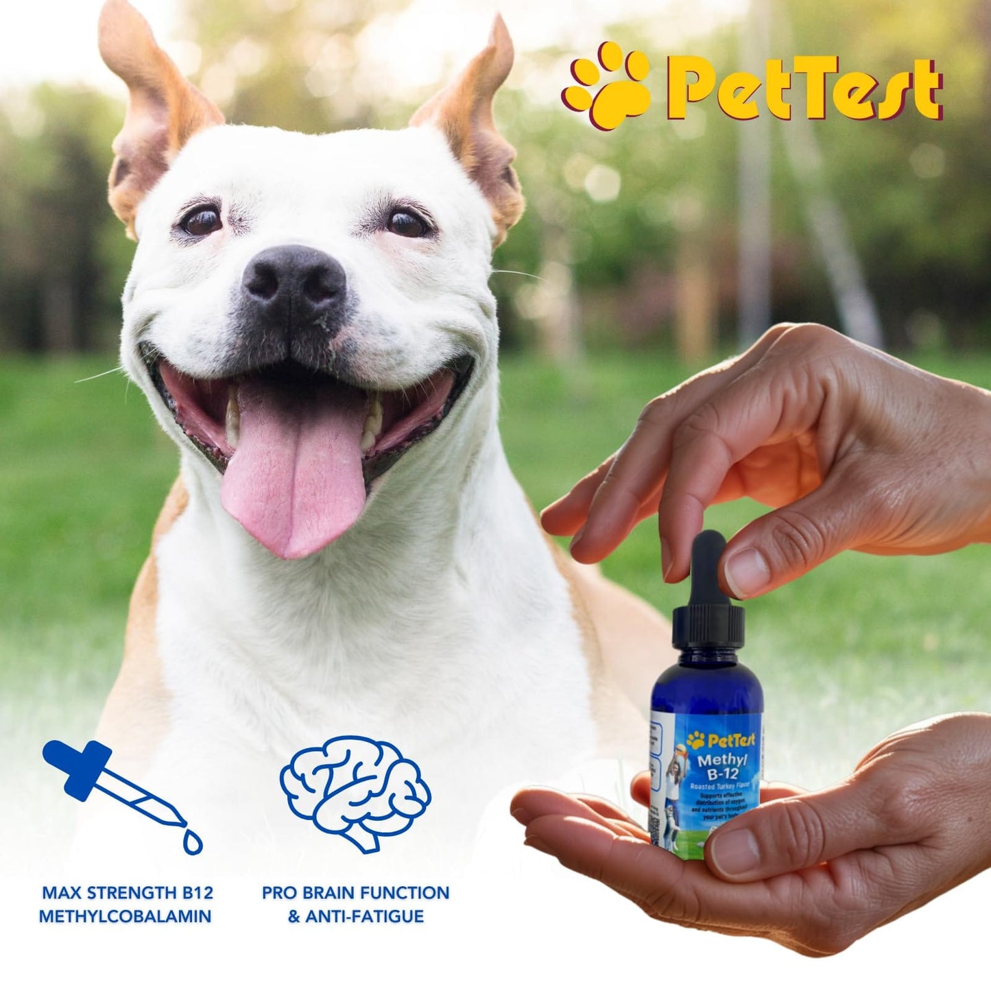 PetTest Methyl B12 Drops for Diabetic Pets – 2 fl oz (5000 mcg)