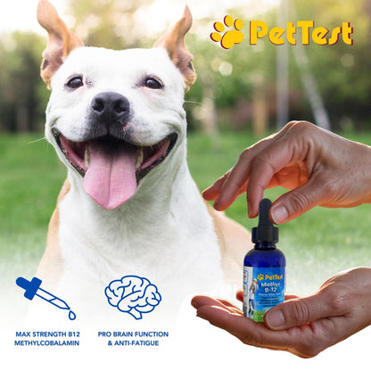 PetTest Methyl B12 Drops for Diabetic Pets – 2 fl oz (5000 mcg)