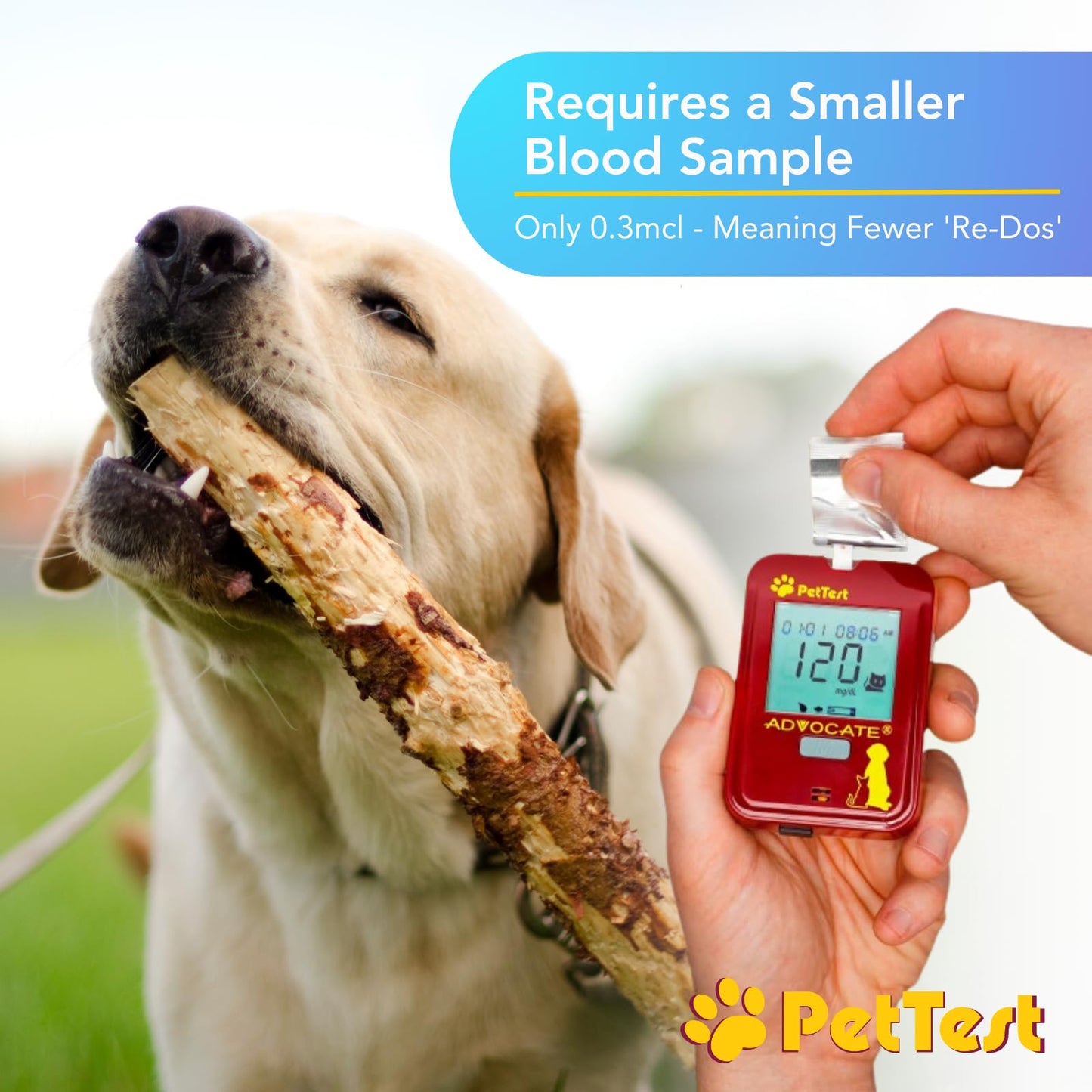 PetTest Blood Glucose Test Strips – Easy-Open, Sterilized, 35 Pieces for Dogs & Cats | Advocate Pettest