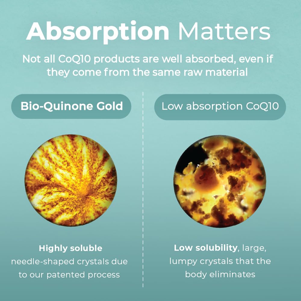 Pharma Nord Bio-Quinone Gold Coenzyme Q10 100mg | The Original CoQ10, High Absorption, 60 Softgels