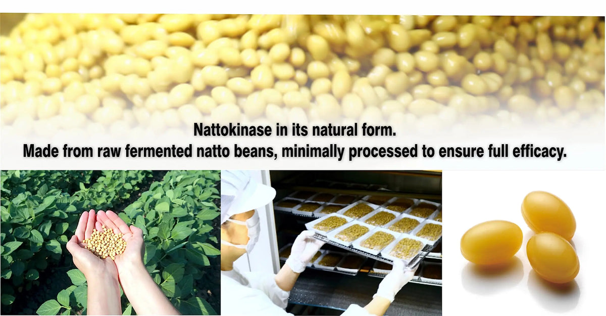 PHARMAKON Natural Nattokinase Organic Fermented Soybean Extract, 6000 FUs per Serving BritishVita | Premium UK Vitamins & Wellness Supplements