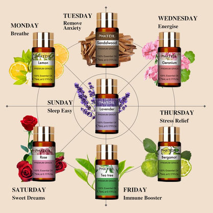 PHATOIL 15PCS Essential Oils Set - 5ml/0.17fl.oz Premium Quality Essential Oils for Diffusers, DIY Soap Candle Making, Gifts for Families and Friends