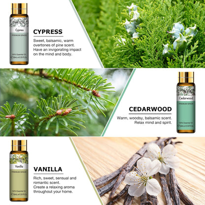 PHATOIL 9PCS Premium Essential Oil Set – 10ml Diffuser & DIY Gift