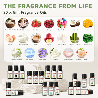 PHATOIL Coconut 20 Pcs Fragrance Oil Set – Premium Oils for Diffuser, DIY Candles & Soaps (5ml)
