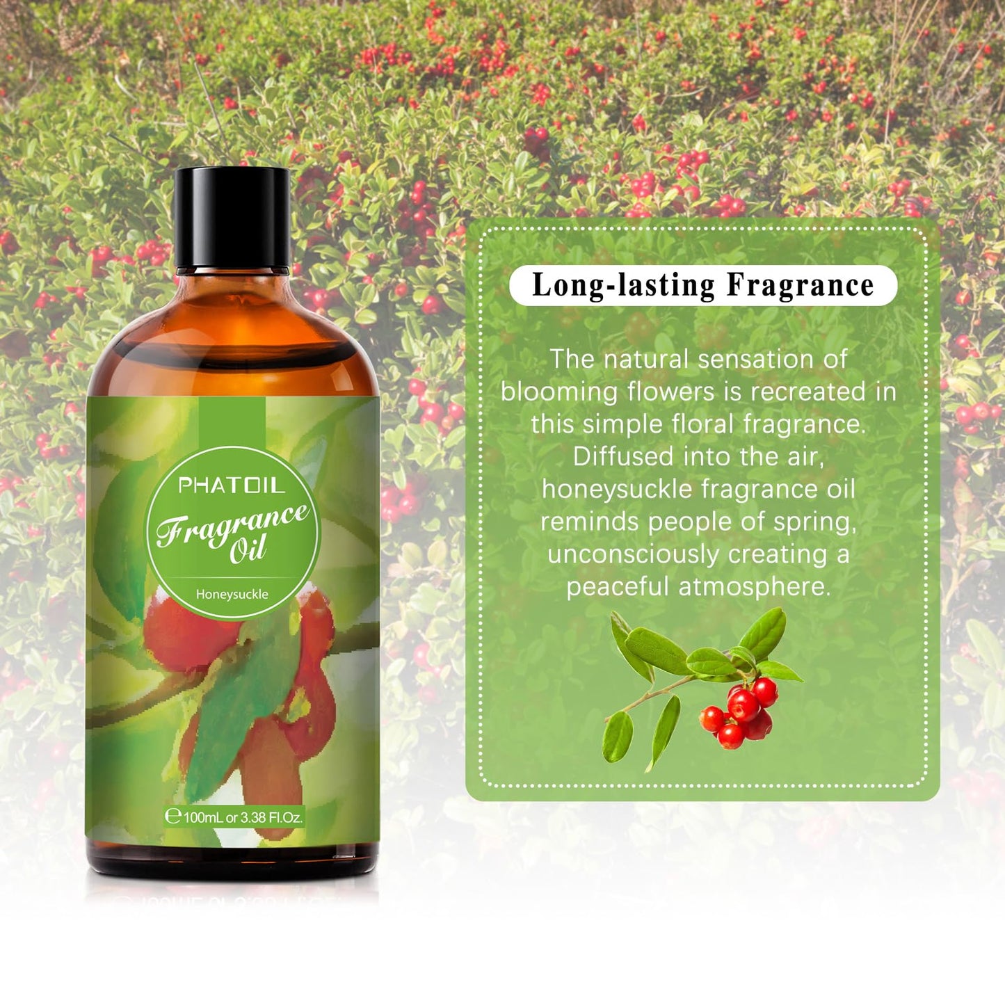 PHATOIL Honeysuckle Fragrance Oil 100ml (3.38 fl oz) | Aromatherapy, Diffuser Oil, DIY Candles & Soaps