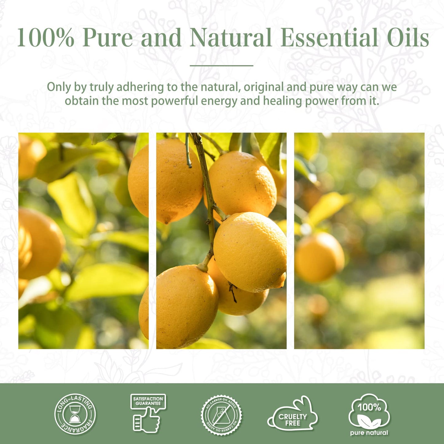 PHATOIL Lemon Essential Oil 3.38oz – Aromatherapy, Diffusers, DIY Candles & Gifts