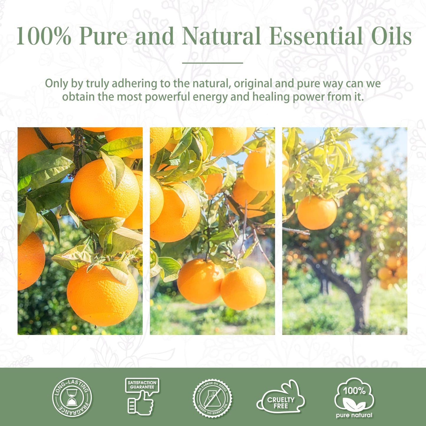 PHATOIL 30ml Sweet Orange Essential Oil for Aromatherapy & Diffusers