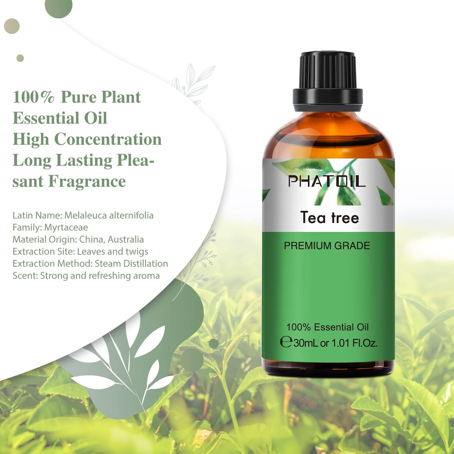 PHATOIL Tea Tree Essential Oil 30ml | Aromatherapy & DIY Crafts