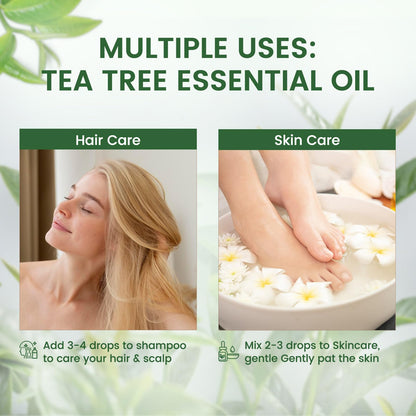PHATOIL Pure Tea Tree Essential Oil - 3.38 fl oz | 100% Pure Therapeutic Grade