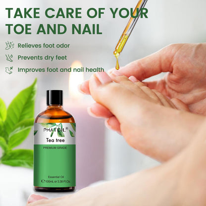 PHATOIL Pure Tea Tree Essential Oil - 3.38 fl oz | 100% Pure Therapeutic Grade