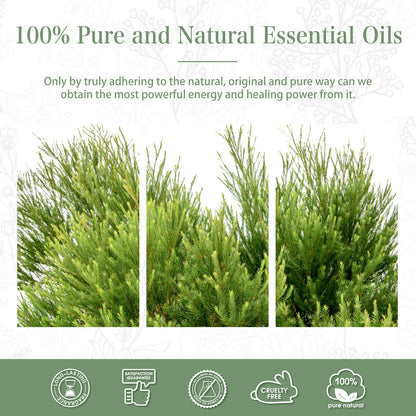 PHATOIL Tea Tree Essential Oil 30ml | Aromatherapy & DIY Crafts