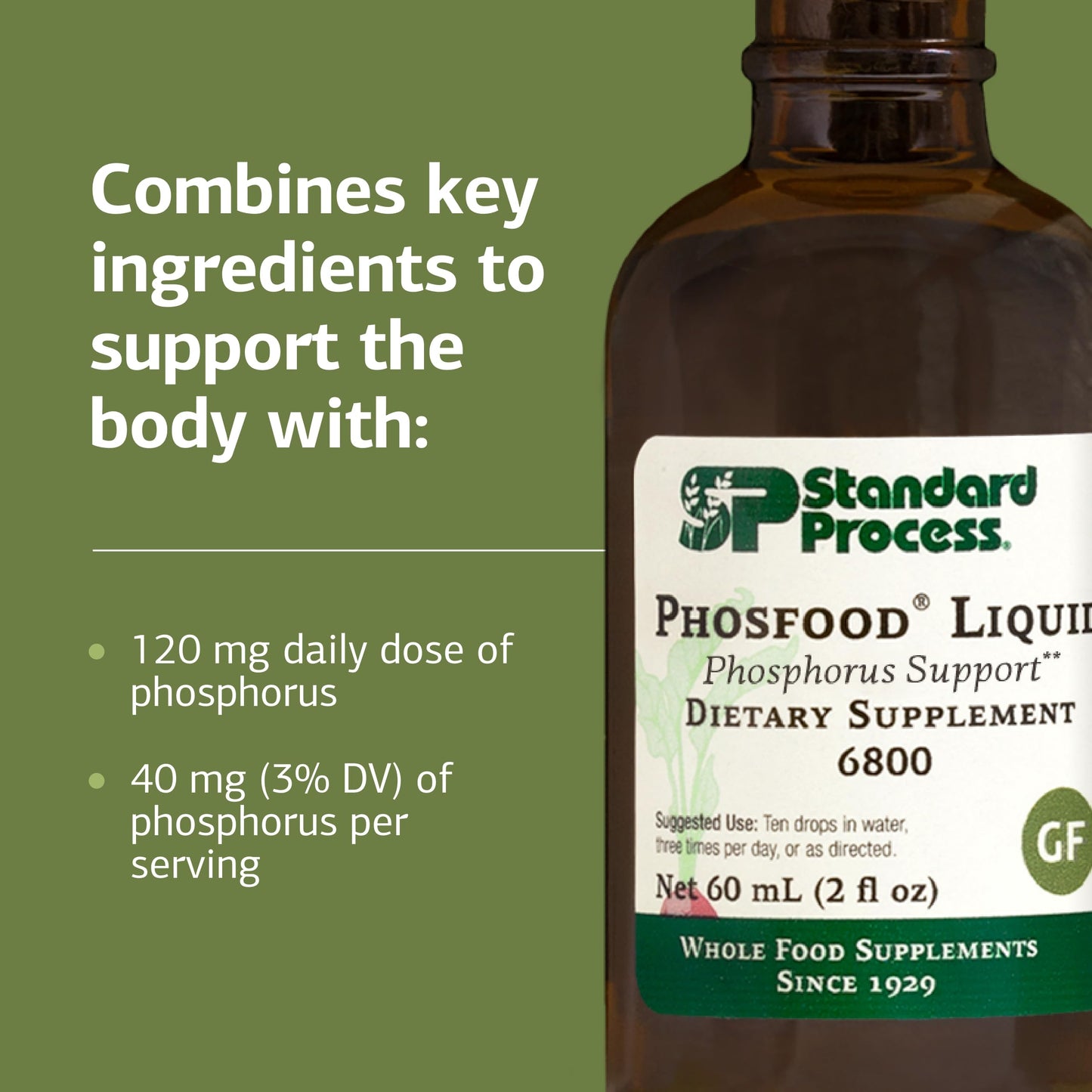 Phosfood Liquid – Phosphorus Supplement for Nutritional Balance (60 mL) | Gluten-Free, Vegan & Non-Soy | Standard Process