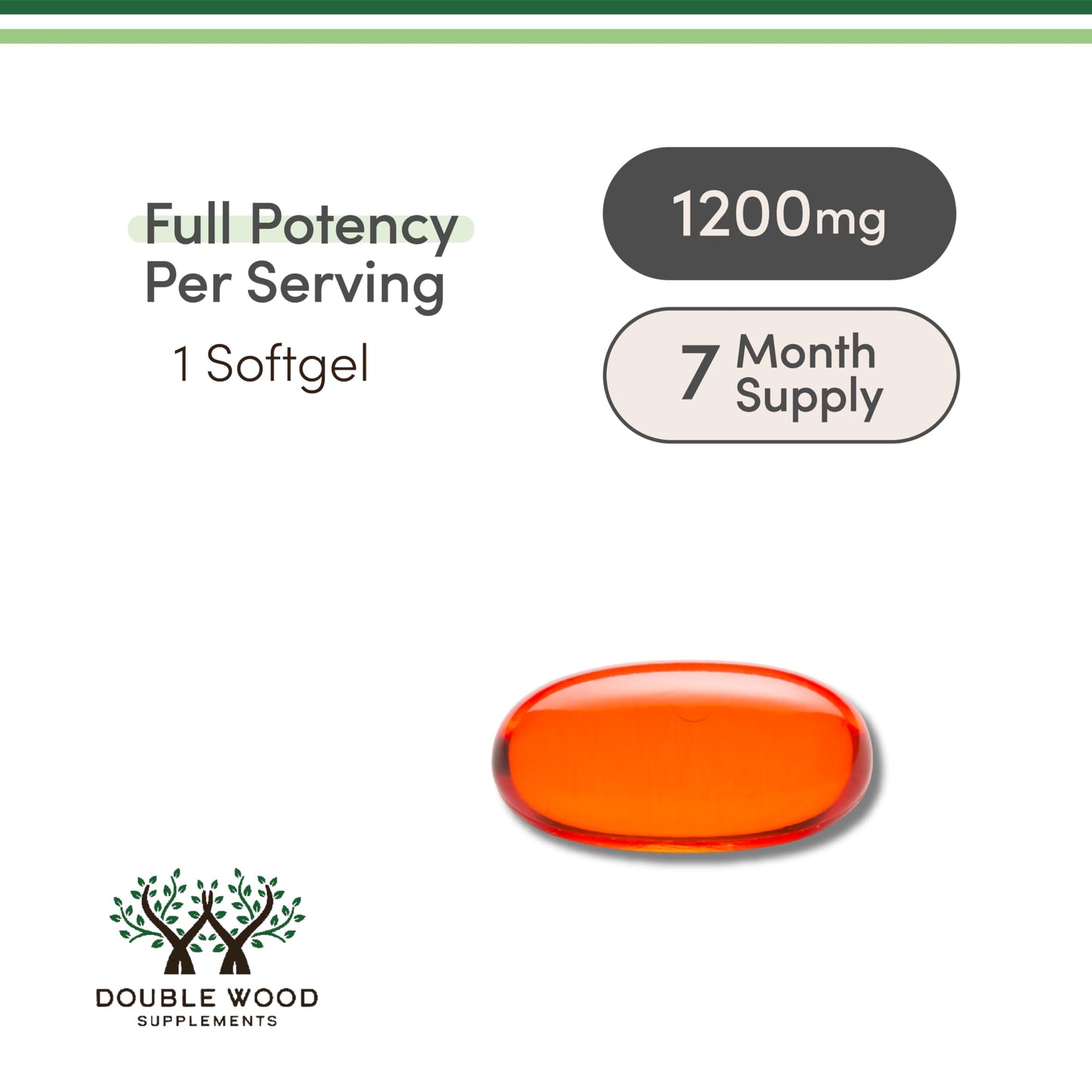 Phosphatidylcholine 1,200mg – 210 Softgels | Brain Health Support | Non-GMO & Gluten Free | Double Wood