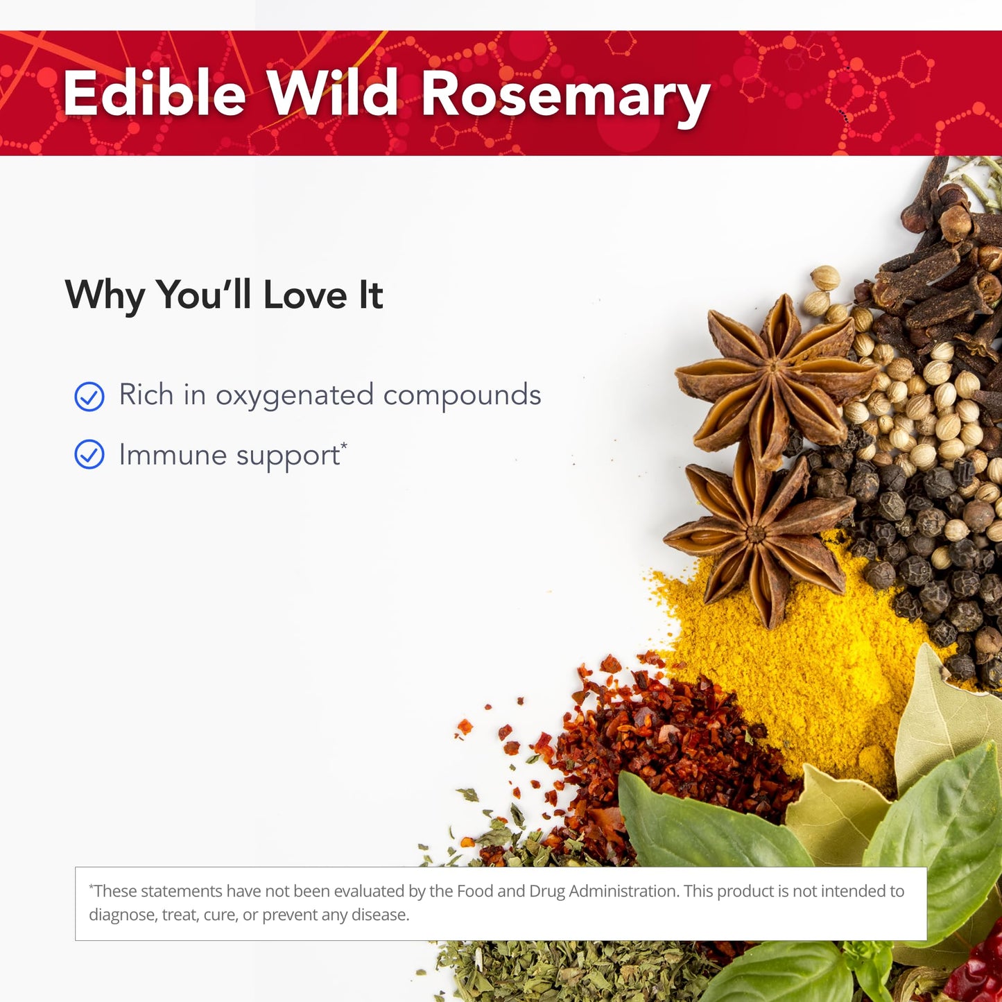 Physician's Strength Wild Rosemary Essence - 8 fl oz | Chemical Free, No Additives - 16 Servings