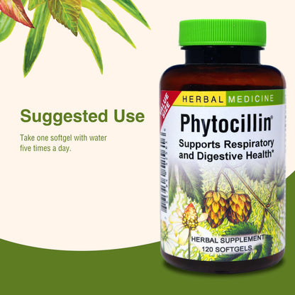 Herbs Etc. Phytocillin: Respiratory & Digestive Health Support | 120 Softgels