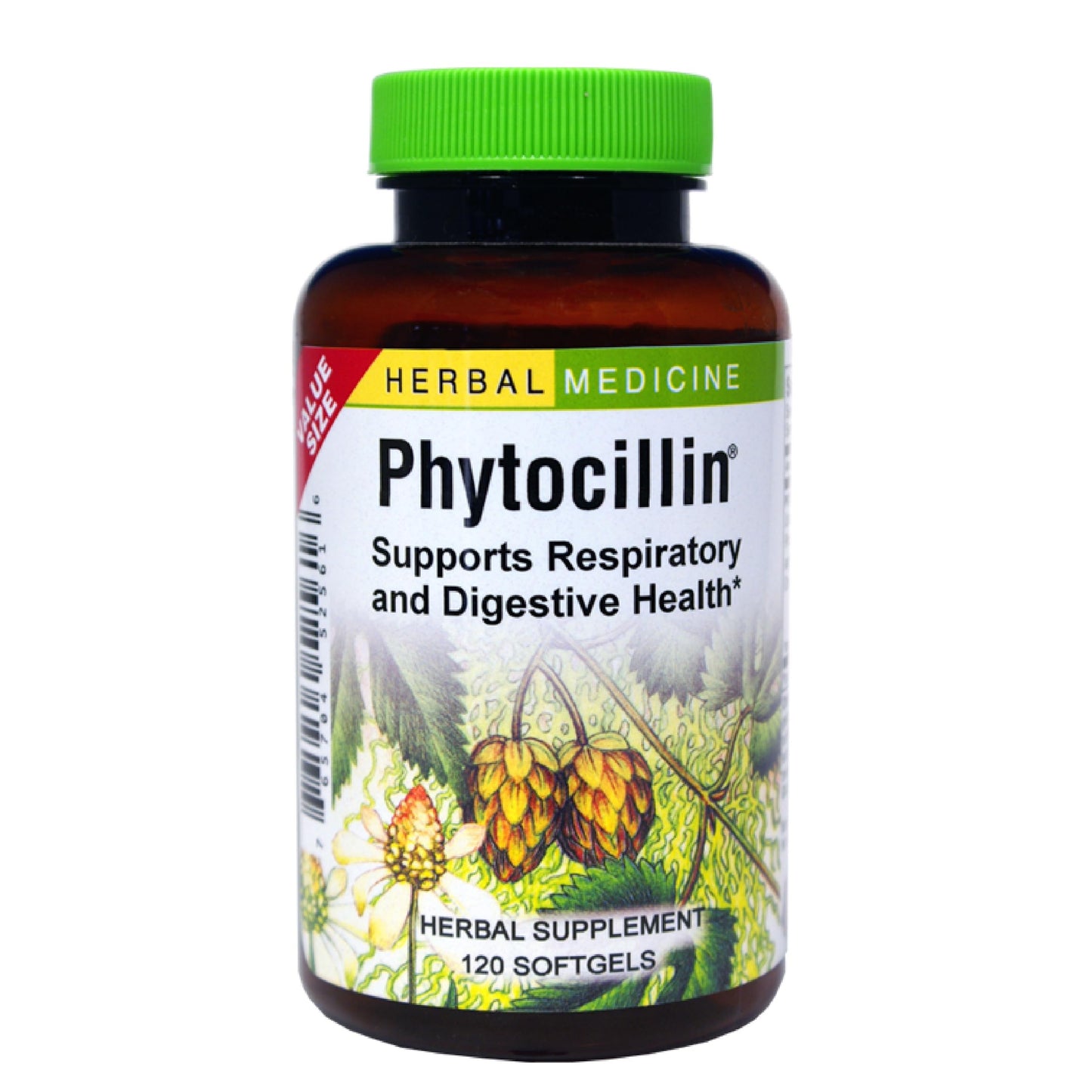 Herbs Etc. Phytocillin: Respiratory & Digestive Health Support | 120 Softgels