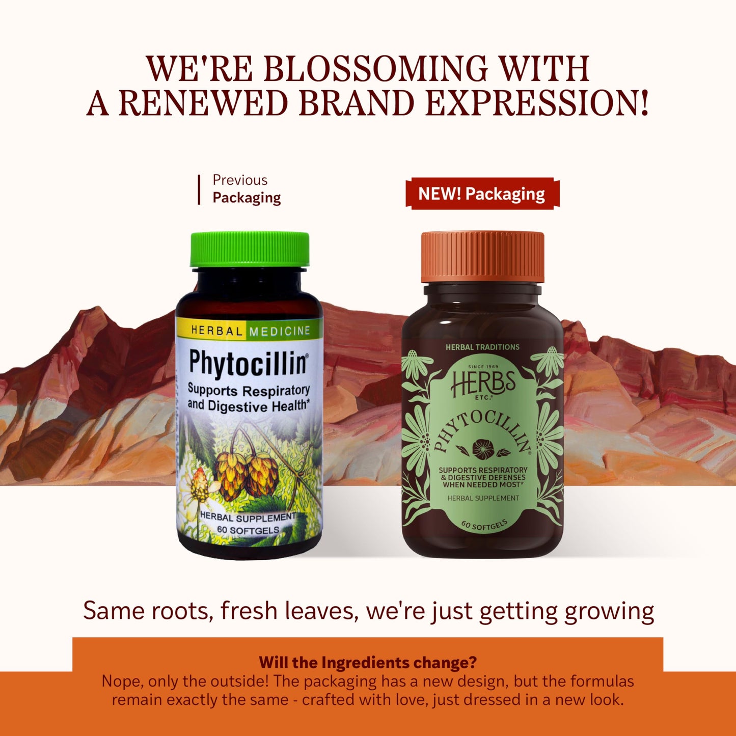 Herbs Etc. Phytocillin® 60-Count Softgels – Respiratory & Digestive Support