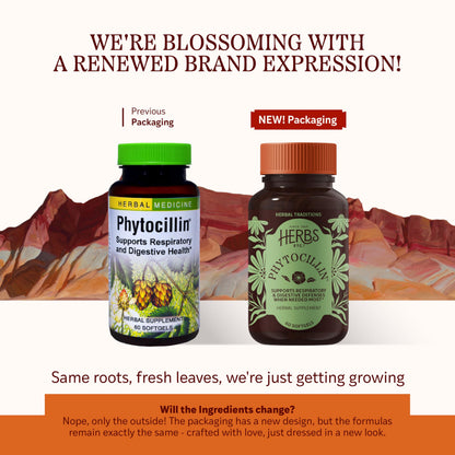 Herbs Etc. Phytocillin® 60-Count Softgels – Respiratory & Digestive Support
