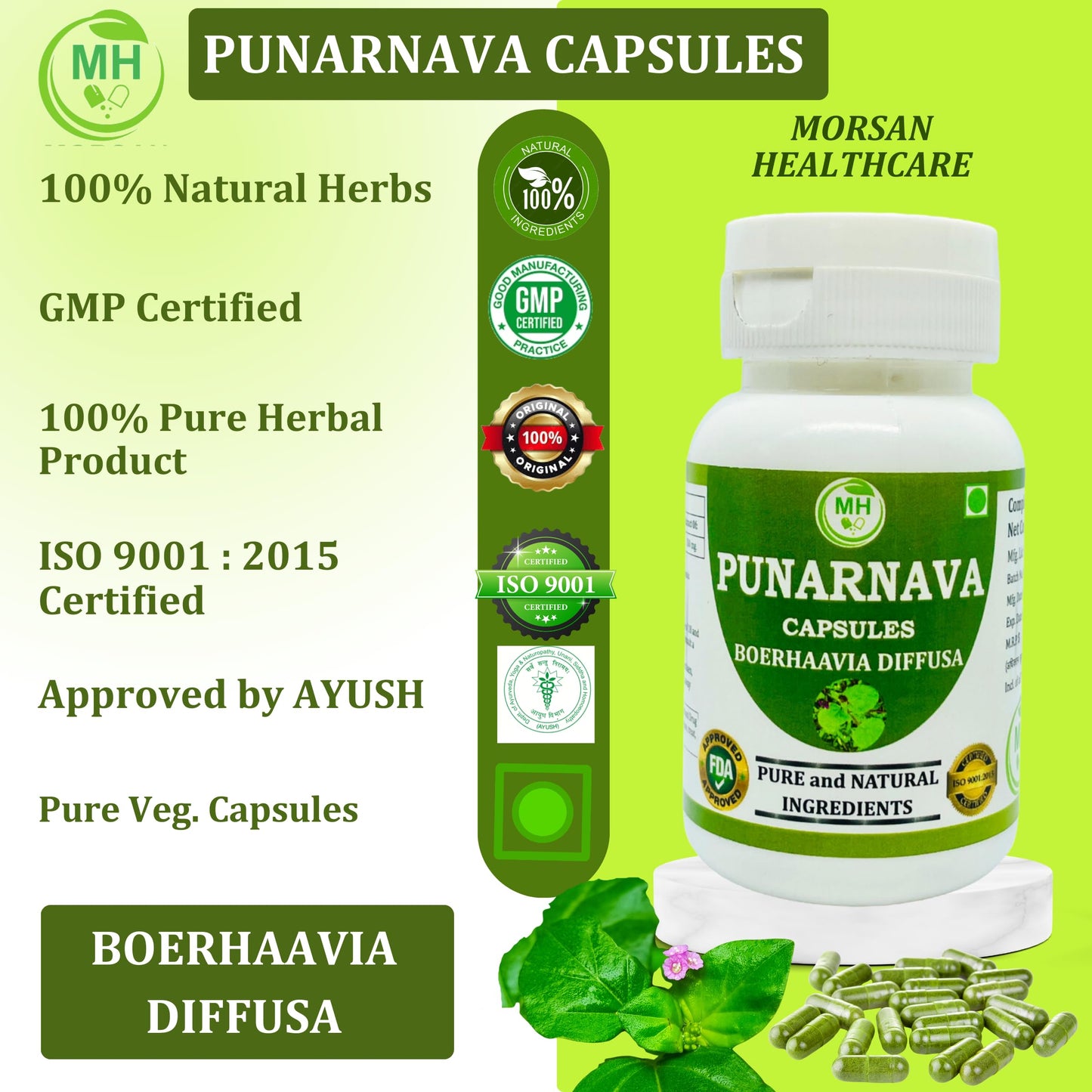 Morsan Healthcare Punarnava Capsules 500mg – 60 Veg Capulses | Kidney & Liver Support