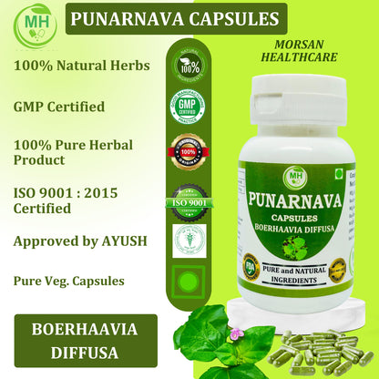 Morsan Healthcare Punarnava Capsules 500mg – 60 Veg Capulses | Kidney & Liver Support