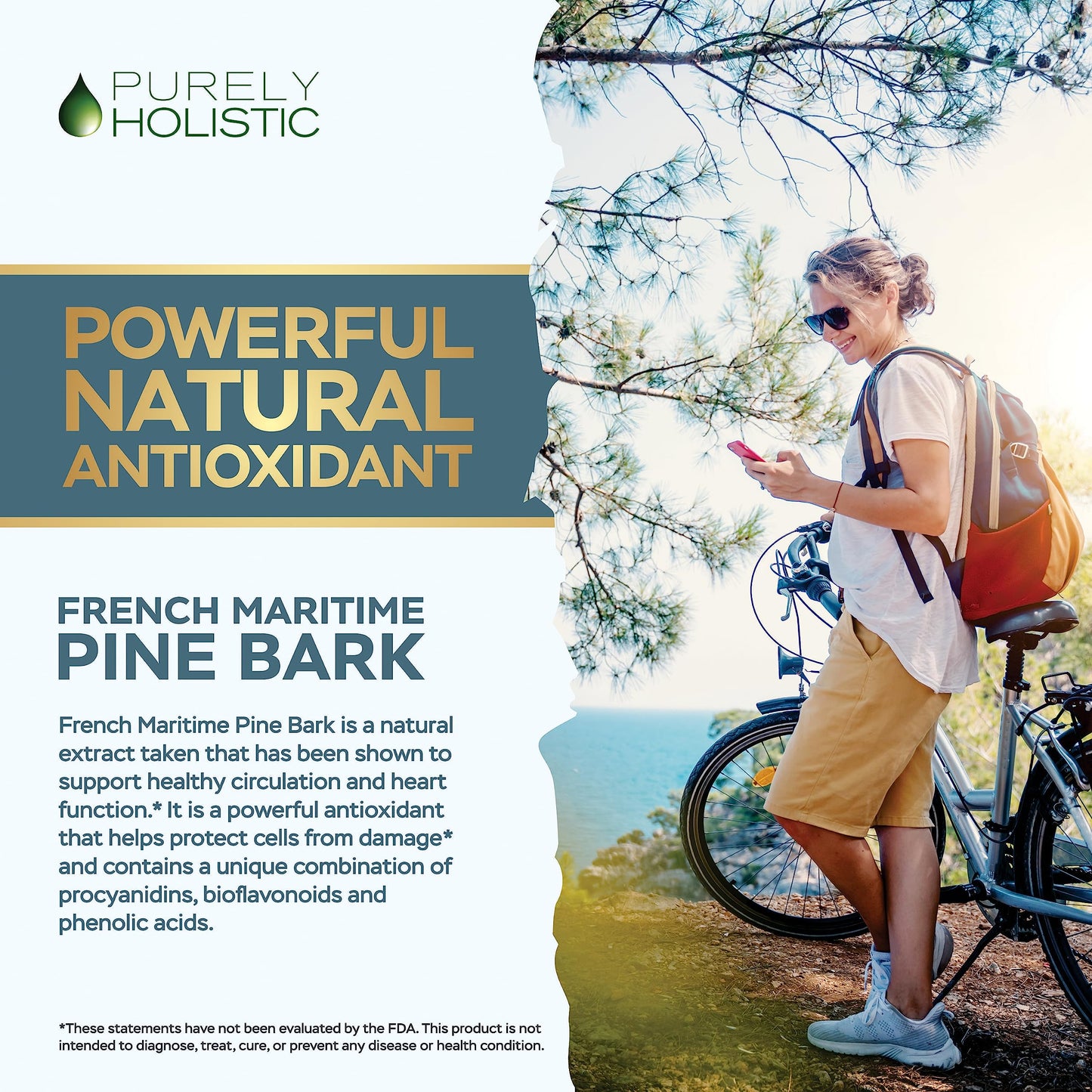 Purely Holistic Pine Bark Extract 350mg – 180 Vegan Capsules