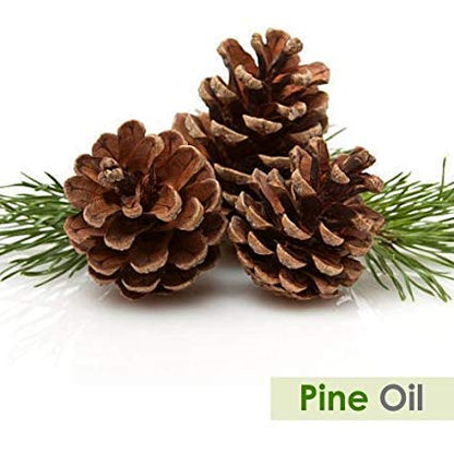 Pine Essential Oil (Pinus Sylvestris) – 100% Pure & Undiluted, 50ml with Dropper | Therapeutic Grade