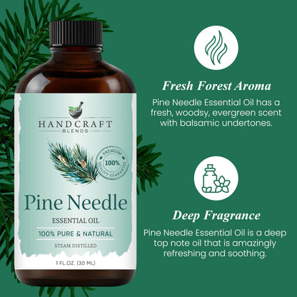 Handcraft Blends Pine Essential Oil – 1 Fl Oz | 100% Pure & Natural