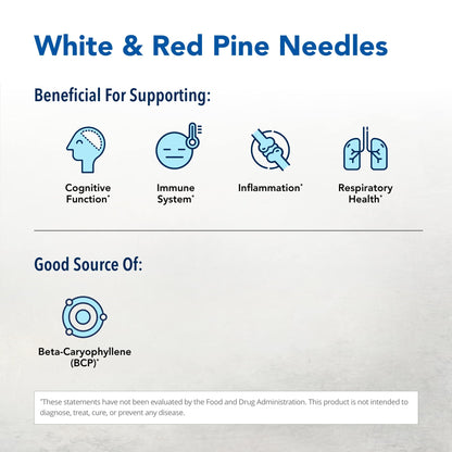 Pine Power Plus - 8 fl oz | Immune & Cardiovascular Support | North American Herb & Spice