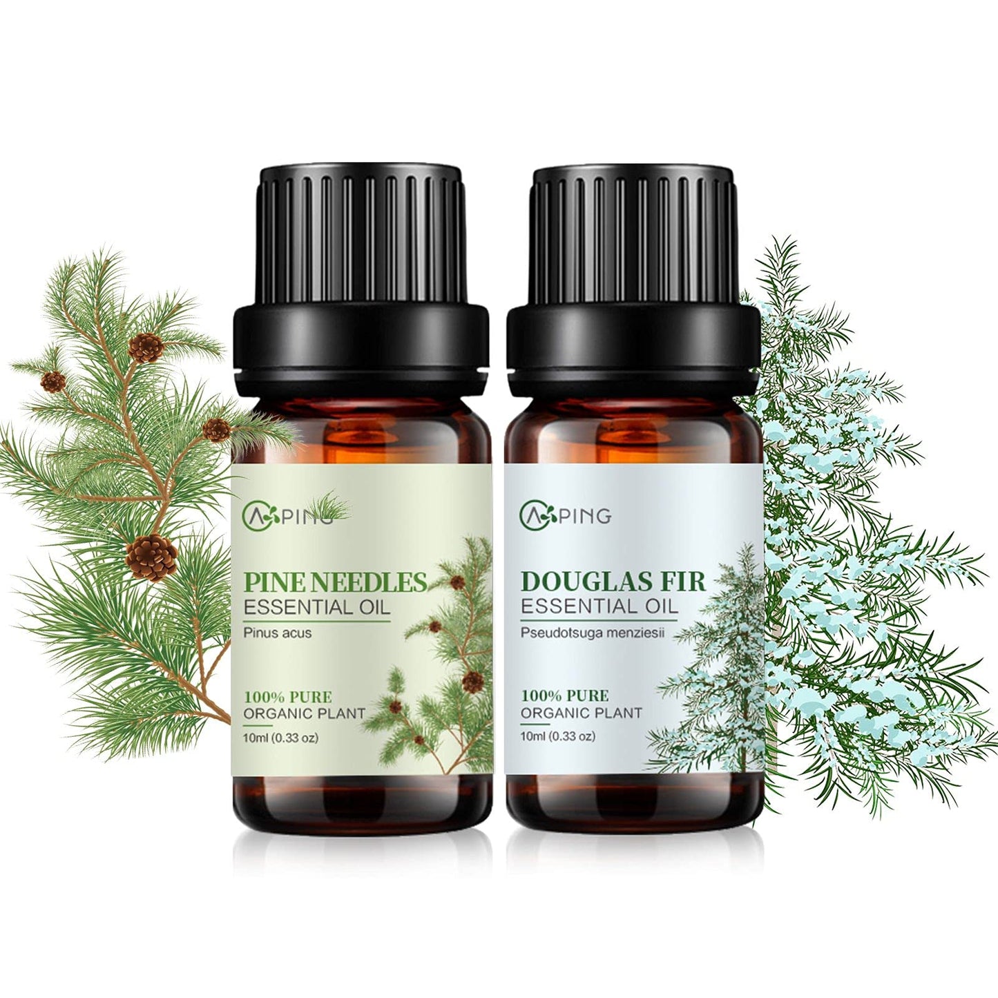 Pine Needles & Douglas Fir Essential Oils - 100% Pure Organic Plant Oils