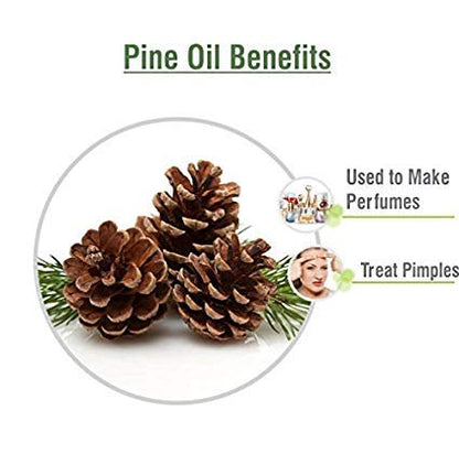 Pine Essential Oil (Pinus Sylvestris) – 100% Pure & Undiluted, 50ml with Dropper | Therapeutic Grade